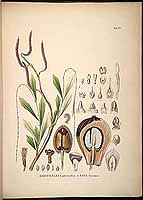  no thumbnail available