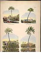  no thumbnail available