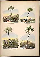  no thumbnail available