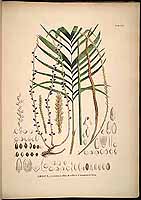  no thumbnail available