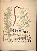  no thumbnail available