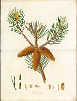  no thumbnail available