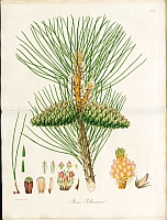  no thumbnail available