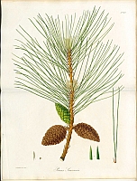  no thumbnail available