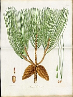  no thumbnail available