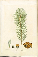  no thumbnail available