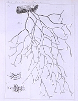  no thumbnail available