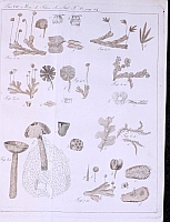  no thumbnail available