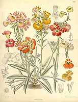  no thumbnail available