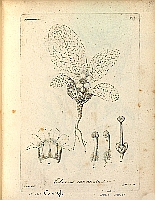  no thumbnail available