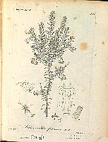  no thumbnail available