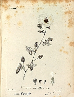  no thumbnail available