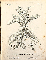  no thumbnail available