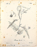  no thumbnail available