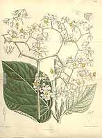  no thumbnail available