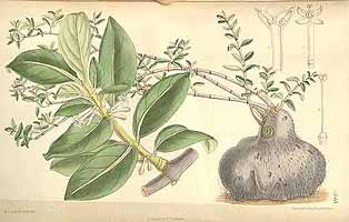  no thumbnail available