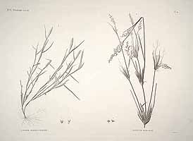  no thumbnail available