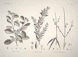  no thumbnail available