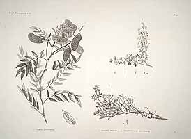  no thumbnail available