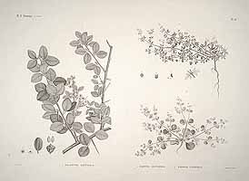  no thumbnail available