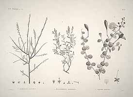  no thumbnail available