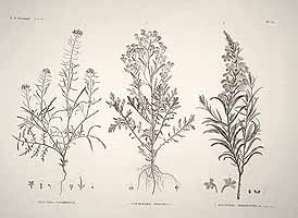  no thumbnail available