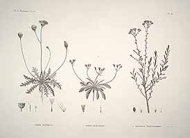  no thumbnail available