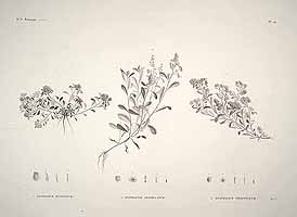  no thumbnail available