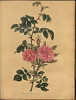  no thumbnail available