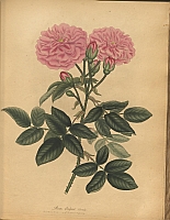  no thumbnail available