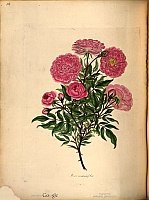  no thumbnail available