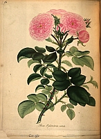  no thumbnail available