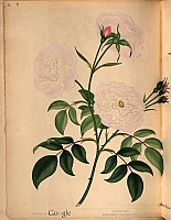  no thumbnail available