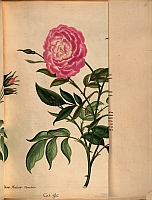  no thumbnail available