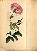  no thumbnail available