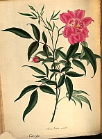  no thumbnail available