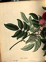  no thumbnail available