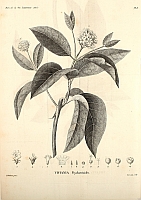  no thumbnail available