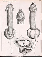  no thumbnail available