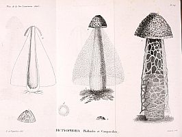  no thumbnail available