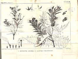  no thumbnail available