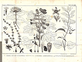  no thumbnail available