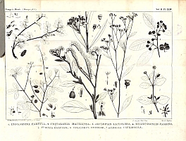  no thumbnail available