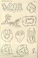  no thumbnail available