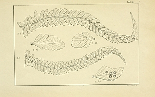  no thumbnail available