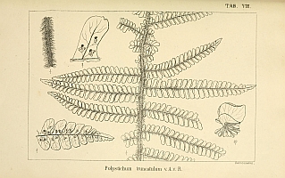  no thumbnail available