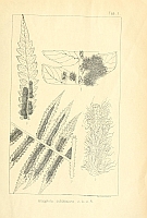  no thumbnail available