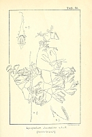  no thumbnail available