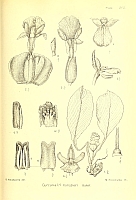  no thumbnail available