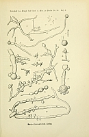  no thumbnail available